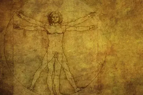 vitruvian man
