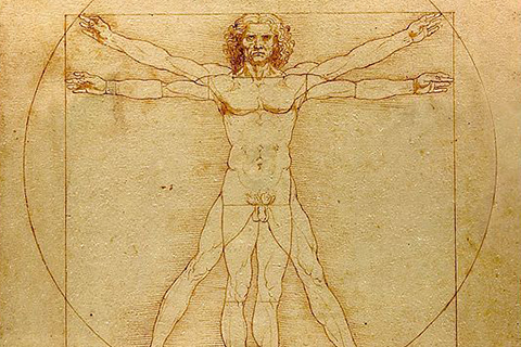 vitruvian